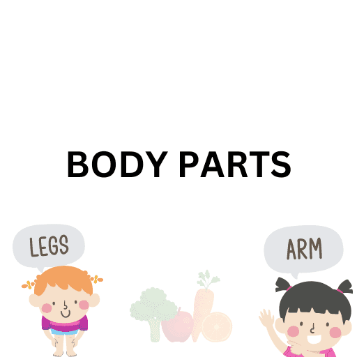 Body Parts